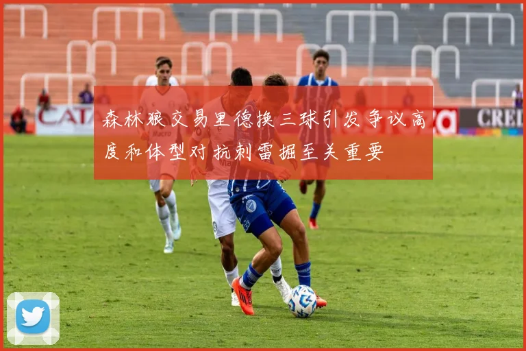 森林狼交易里德换三球引发争议高度和体型对抗刺雷掘至关重要